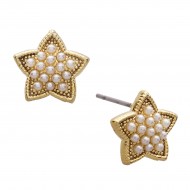 Star Earring